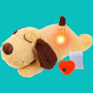 En el Cuidado de las Mascotas. Es esencial, evitar el Estrés.. Cachorro con Latidos del Corazón