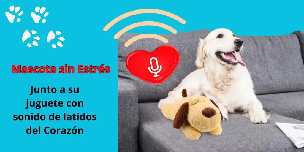 En el Cuidado de las Mascotas. Es esencial, evitar el Estrés.. Mascota y juguete de latidos del corazo´nm tranquilos en el sofa descansando