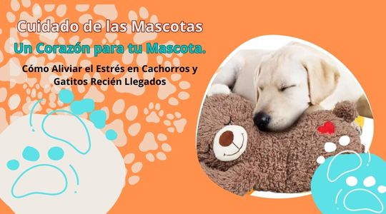 Mascota durmiendo sin estrés encima de su juguete con latifos del corazón
