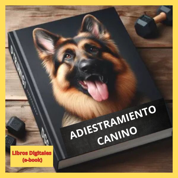 Libros y Recursos Digitales