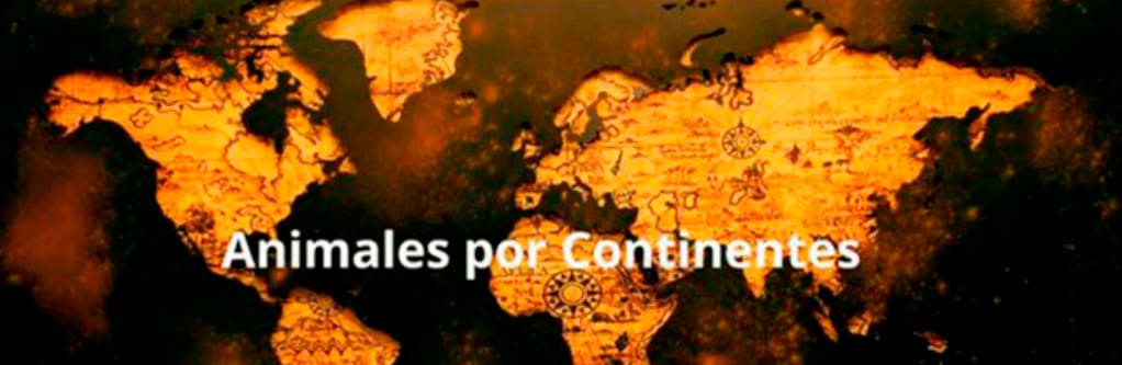 Inicio