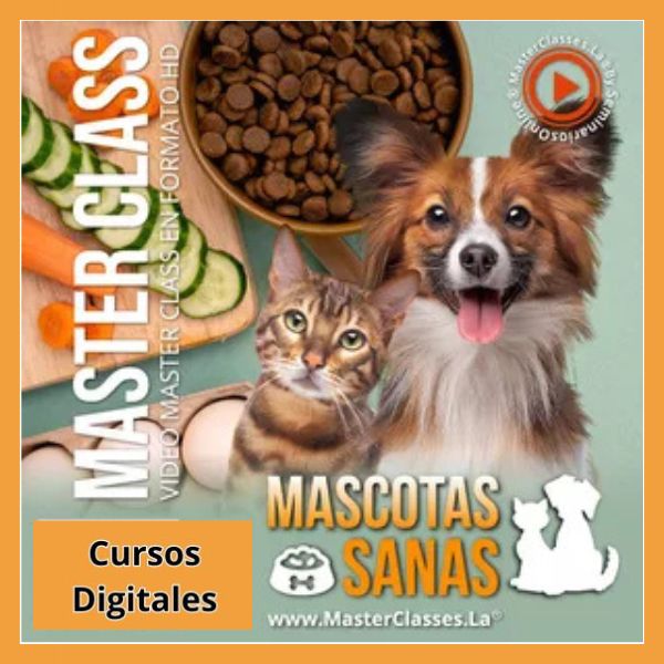 Libros y Recursos Digitales