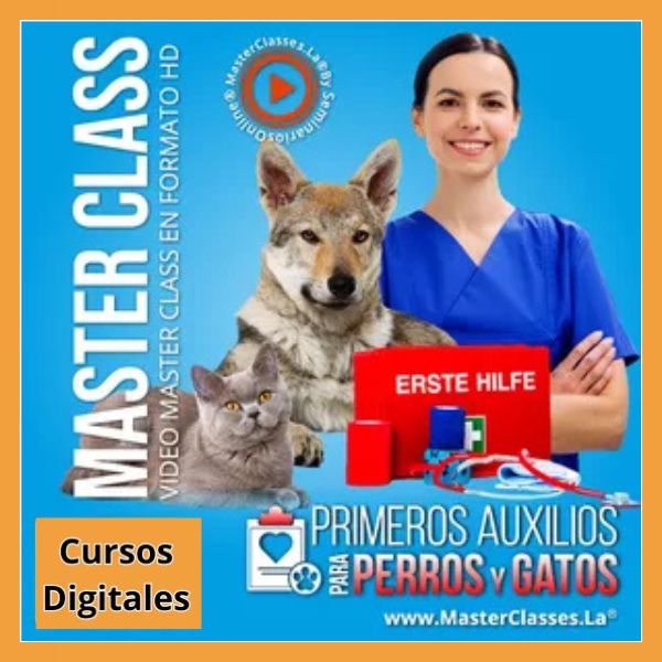Libros y Recursos Digitales