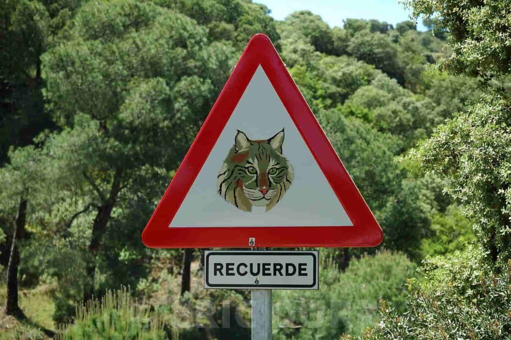 Cartel de protección del lince ibérico en Doñana Señal de protección del hábitat del lince ibérico