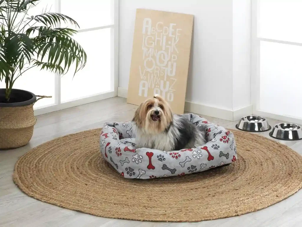 ¿Cuál es la sorprendente mejor cama para perros según su tamaño? 7 claves imprescindibles
