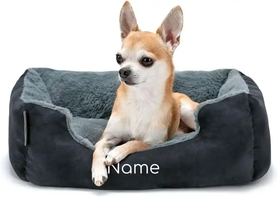 ¿Cuál es la sorprendente mejor cama para perros según su tamaño? 7 claves imprescindibles