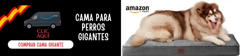 ¿Cuál es la sorprendente mejor cama para perros según su tamaño? 7 claves imprescindibles