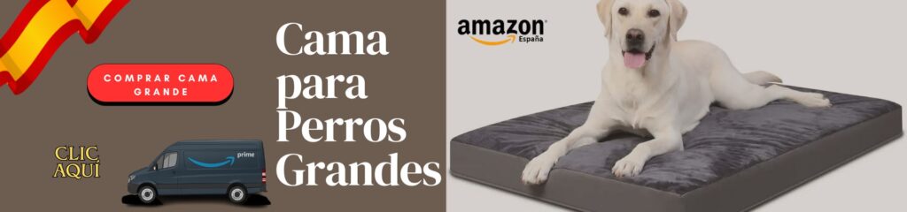 ¿Cuál es la sorprendente mejor cama para perros según su tamaño? 7 claves imprescindibles