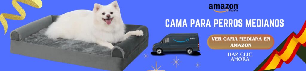 ¿Cuál es la sorprendente mejor cama para perros según su tamaño? 7 claves imprescindibles