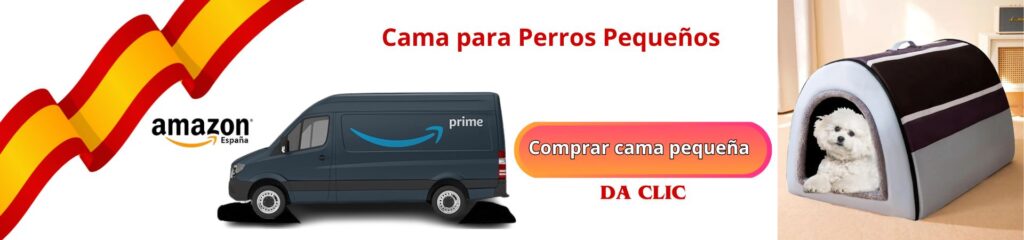 ¿Cuál es la sorprendente mejor cama para perros según su tamaño? 7 claves imprescindibles