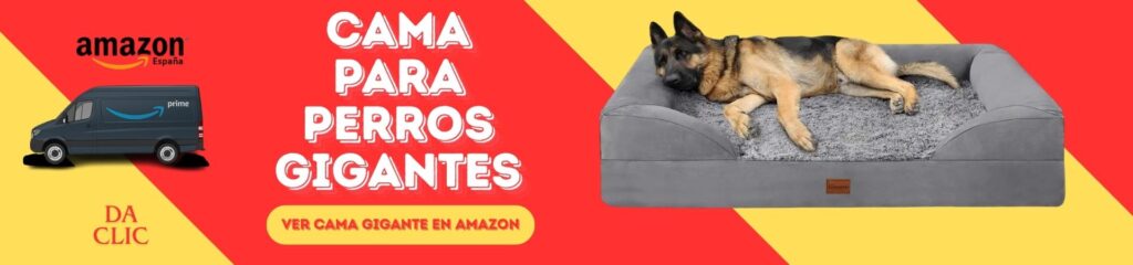 ¿Cuál es la sorprendente mejor cama para perros según su tamaño? 7 claves imprescindibles