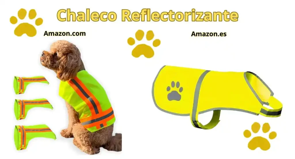 Descubre el Cuidado Estacional de Mascotas: 7 Secretos Infalibles para un Año de Felicidad Cuidado Estacional de Mascota