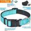 Collar Reflectante para Perros con Correa Incluida – Ajustable, Acolchado y Transpirable