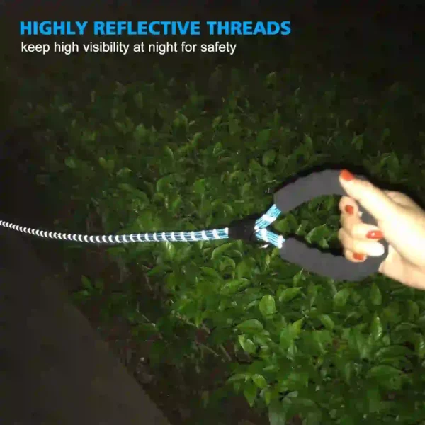 Collar Reflectante para Perros con Correa Incluida – Ajustable, Acolchado y Transpirable