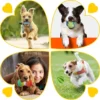 Pack de Juguetes para Cachorros – 25 Unidades- Mordedores, Peluches con Sonido, Pelota de Premios y Cuerdas Resistentes (Perros Pequeños)