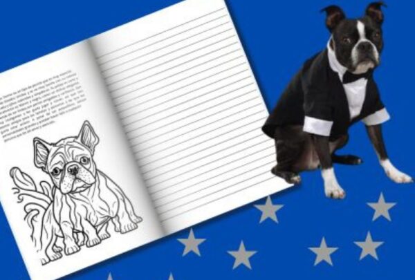 Cuadernomde Notas Conoce a tus amigos Boston Terrier