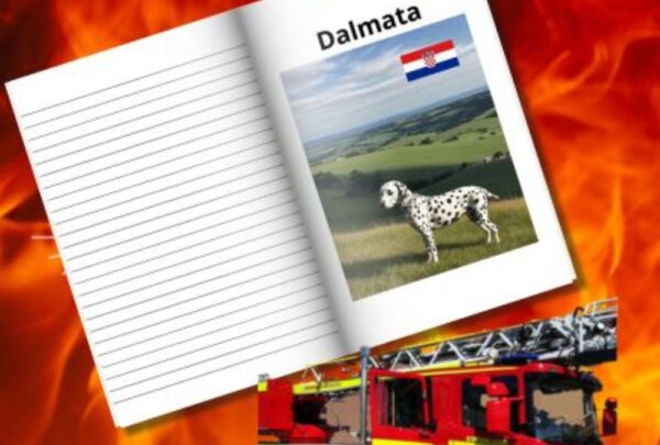 Cuaderno de Notas Conoce a tus Amigos Dalmata