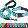 Collar Reflectante para Perros con Correa Incluida – Ajustable, Acolchado y Transpirable