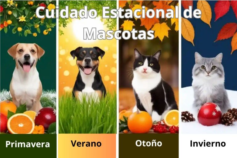 Descubre el Cuidado Estacional de Mascotas: 7 Secretos Infalibles para un Año de Felicidad Perro y gato felices en un entorno de cuidado estacional de mascotas con elementos de primavera, verano, otoño e invierno.
