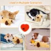 Juguete para cachorros con latidos del corazón y bolsa caliente – Peluche calmante contra la ansiedad de perros