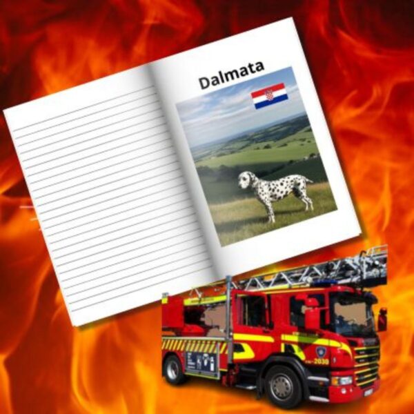 Cuaderno de Notas "Conoce a tus Amigos". En Español