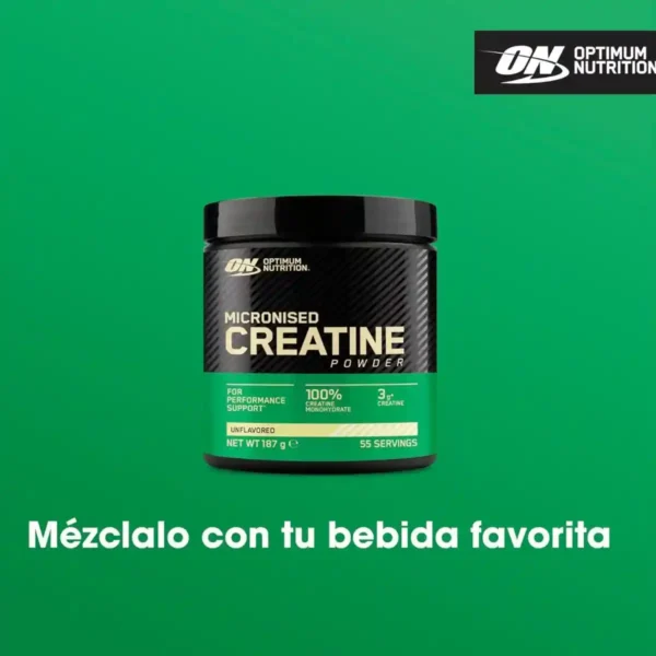 Optimum Nutrition Creatina Micronizada en Polvo Sin Sabor – 187 g (55 servicios) – Monohidrato 100 % Puro.