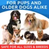 Omega 3 para perros