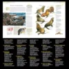 Enciclopedia de los Animales National Geographic | Libro Impreso Educativo
