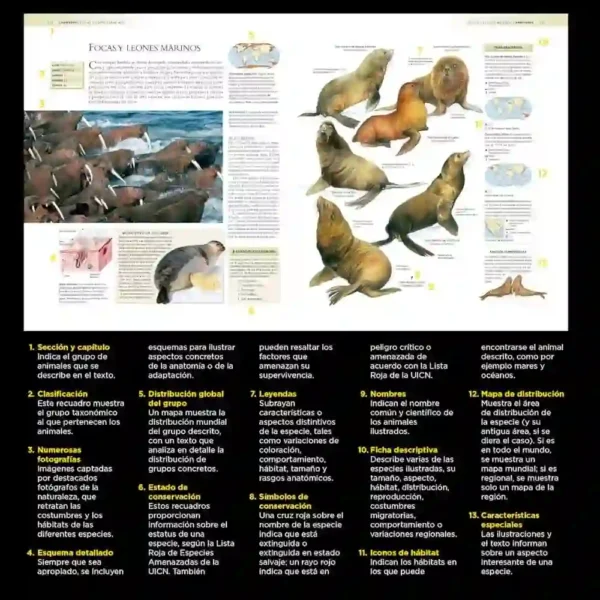 Enciclopedia de los Animales National Geographic | Libro Impreso Educativo