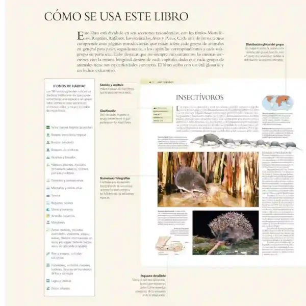 Enciclopedia de los Animales National Geographic | Libro Impreso Educativo