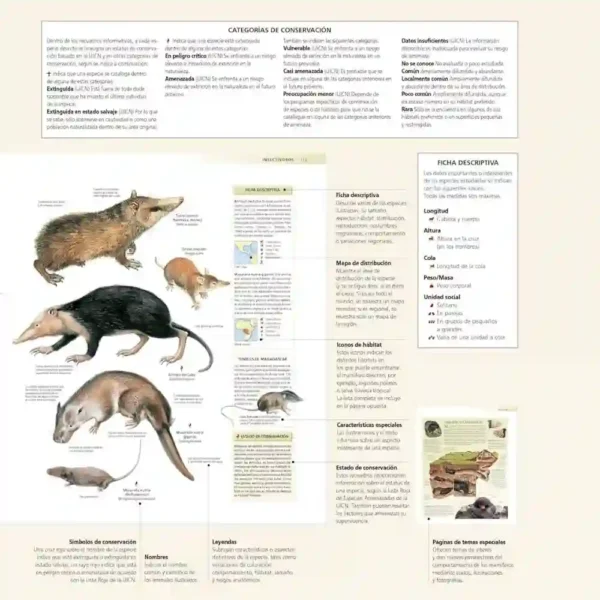 Enciclopedia de los Animales National Geographic | Libro Impreso Educativo